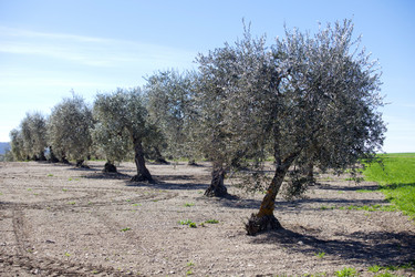 Similar image 12986106