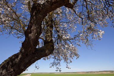 Similar image 12992917