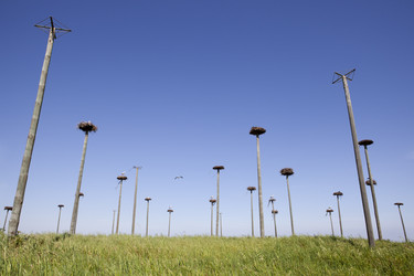 Similar image 12979928