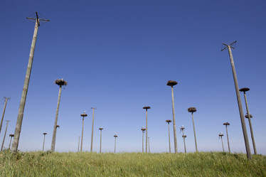 Similar image 12979635