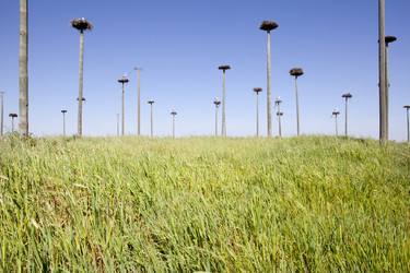 Similar image 12979651