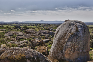 Similar image 12979652