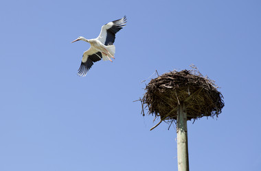 Similar image 12979694