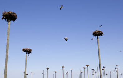 Similar image 12979708