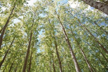 Similar image 12982296