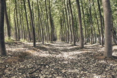 Similar image 12982904