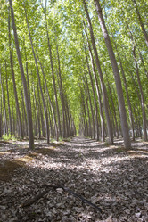 Similar image 12982943