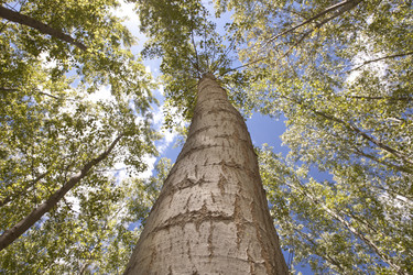 Similar image 12986070