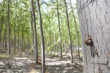 Similar image 12986108