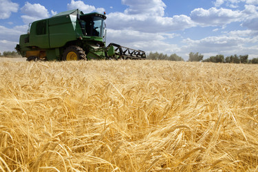 Similar image 12979654