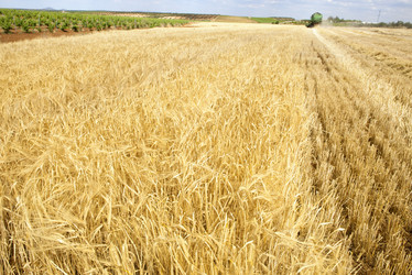 Similar image 12979695