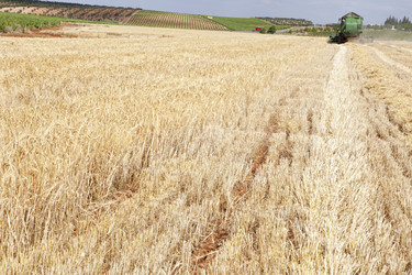 Similar image 12979696