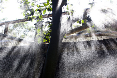 Similar image 12979710