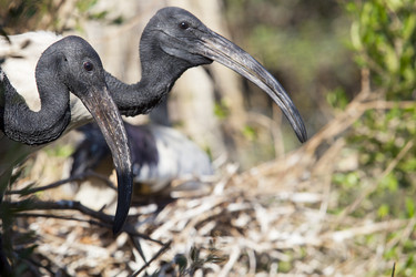 Similar image 12982298