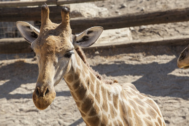 Similar image 12982906