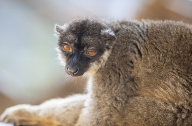 Similar image 12982907