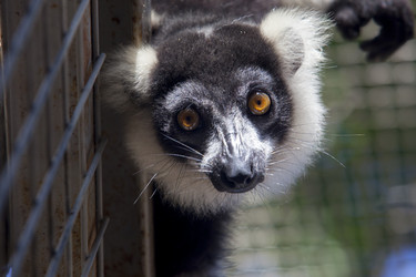 Similar image 12982944