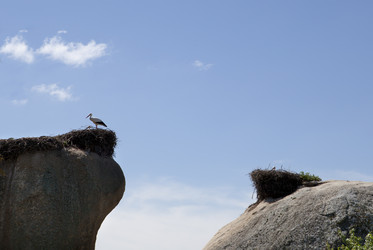 Similar image 12979637