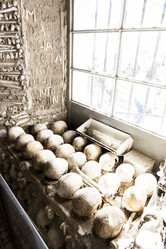 Similar image 12979655