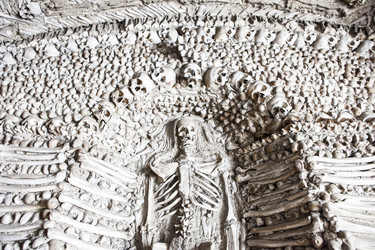 Similar image 12979656