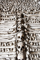 Similar image 12979697