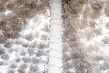 Similar image 12979713