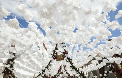 Similar image 12982946