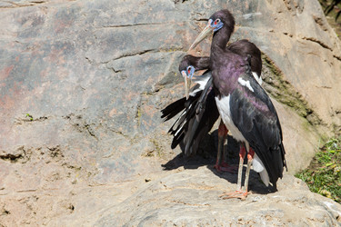 Similar image 12986074