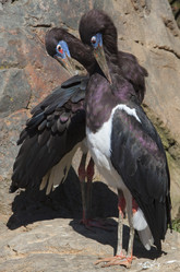 Similar image 12986092