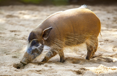 Similar image 12986129