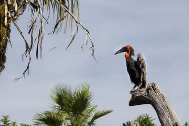 Similar image 12986144