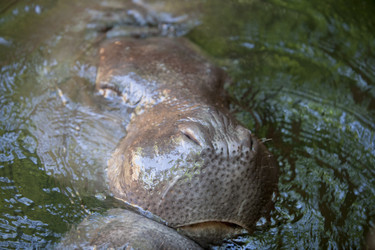 Similar image 12992920