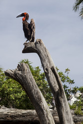 Similar image 12993046