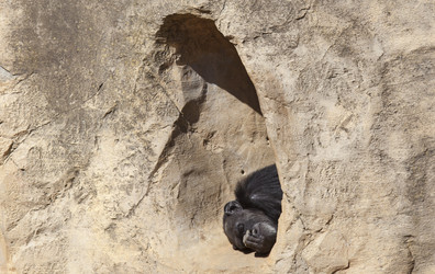 Similar image 12993047