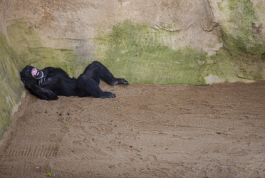 Similar image 12997219