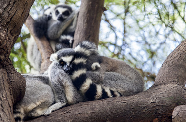 Similar image 12997240