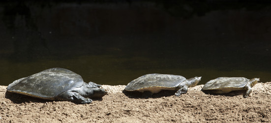 Similar image 12997260