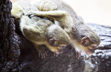 Similar image 12997278