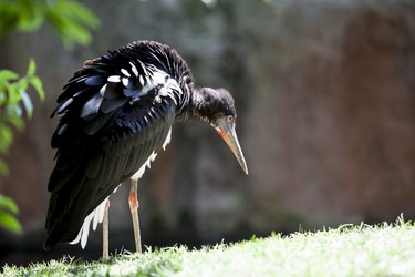 Similar image 12997299