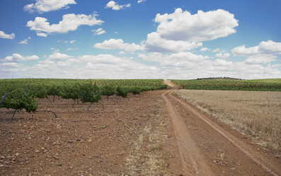 Similar image 12982890