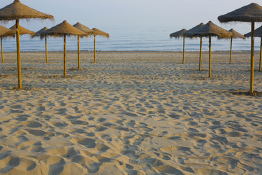 Similar image 12982910