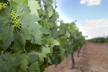 Similar image 12982948