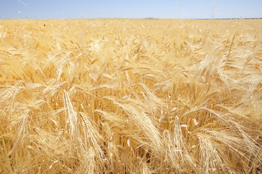 Similar image 12986075