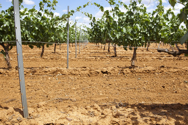 Similar image 12986131