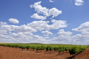 Similar image 12997222