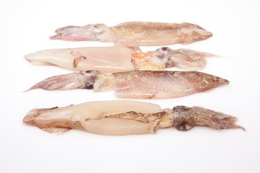 Similar image 12986111