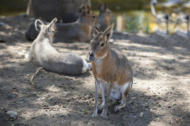 Similar image 12986133