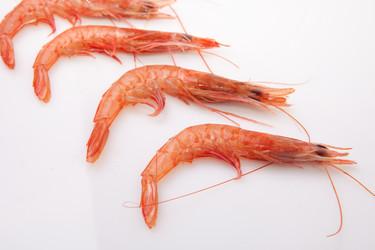 Similar image 12986375