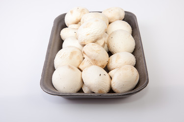 Similar image 12993048