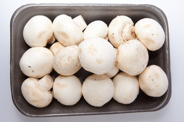 Similar image 12993049